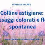 Colline astigiane: paesaggi colorati e flora spontanea
