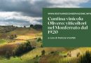 Cantina vinicola Olivero: viticoltori nel Monferrato dal 1920