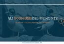Gli Ecomusei del Piemonte: attività, valorizzazione e contributi