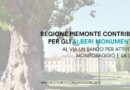 Regione Piemonte: contributi per gli alberi monumentali