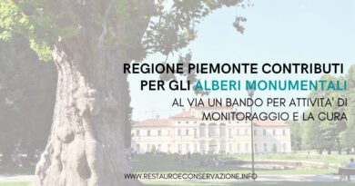 Regione Piemonte: contributi per gli alberi monumentali